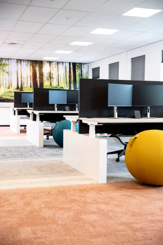 Plene-ergonomische-oplossingen-interieur-9